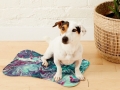 Bild 4 von Napfunterlage Hund / Katze 