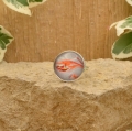 Bild 2 von Ring / Fingerringrund 2208013