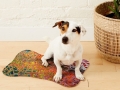 Bild 4 von Napfunterlage Hund / Katze 