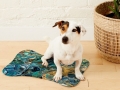 Bild 2 von Napfunterlage Hund / Katze "Blaues Tigerauge"