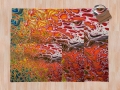 Bild 5 von Fleecedecke "Lava im Fluss"