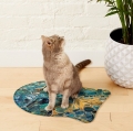 Bild 3 von Napfunterlage Hund / Katze "Blaues Tigerauge"  / (Modell) Katze