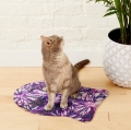 Bild 4 von Napfunterlage Hund / Katze 
