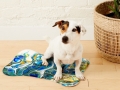Bild 4 von Napfunterlage Hund / Katze 