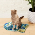 Bild 2 von Napfunterlage Hund / Katze 