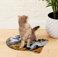Bild 4 von Napfunterlage Hund / Katze 