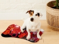 Bild 2 von Napfunterlage Hund / Katze 