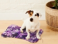 Bild 2 von Napfunterlage Hund / Katze 